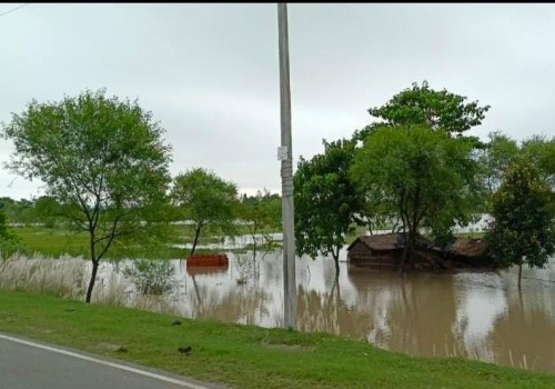 गांजरी क्षेत्र में बाढ़ का कहर सैकड़ों गांव हुए जलमग्न, घरों की छतों पर डाला डेरा।