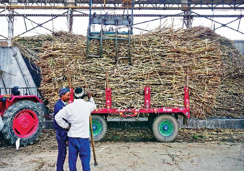 डीएसएम शुगर मिल मीरगंज के मनकरी सेंटर पर माफियाओं का बोलबाला चीनी मिल के जीएम ने की पुलिस से शिकायत