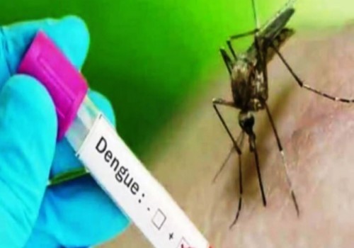 बरेली जिले में डेंगू का कहर अभी जारी आज मिले 30 नए केस स्वास्थ्य विभाग अलर्ट