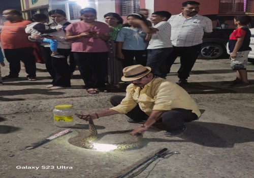 पुलिस लाइन स्थित पुलिस फैमिली क्वाटर्स में निकला रसल वाइपर अकील बाबा ने किया रेस्क्यू