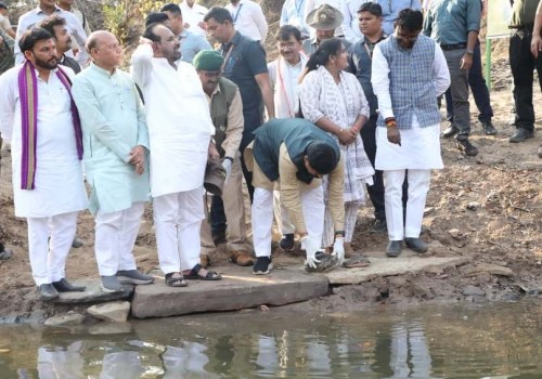 मुख्यमंत्री ने जन्मदिन पर दिया वन्यजीव संरक्षण का संदेश, सागर के वीरांगना दुर्गावती टाइगर रिजर्व की बामनेर नदी में विमुक्त किए 14 कछुए