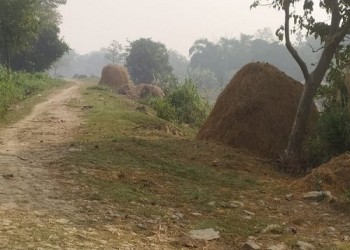 कुशीनगर /खड्डा :छितौनी बंधे के पटरियों पर ग्रामीणों ने किया अतिक्रमण ,बेखबर जिम्मेदार