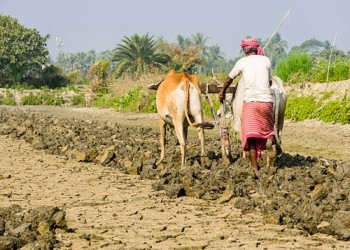 सरकार किसानों को दे रही 50% सब्सिडी, फटाफट उठाएं इस योजना का लाभ