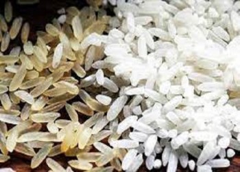 कार्ड धारकों को बाराबंकी जनपद में तहसील फतेहपुर में मिल रहे प्लास्टिक के चावल, हैरान कर देने वाली खबर सामने आई 