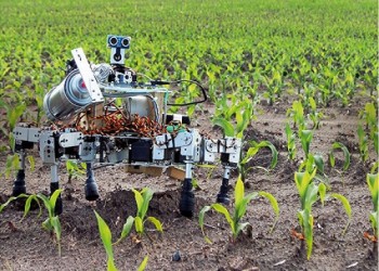 IIT KANPUR,रोबोट को रिमोट के जरिए चलाया जाएगा और उसमें मौजूद सेंसर प्रणाली विभिन्न मानकों पर मिट्टी व फसलों की जांच कर सकेगी 