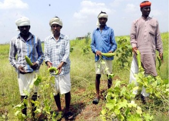 8 देशों के 70% किसान अपने खेतों पर जलवायु परिवर्तन का बड़ा प्रभाव देखते हैं: बायर क्रॉपसाइंस का किसान आवाज सर्वेक्षण