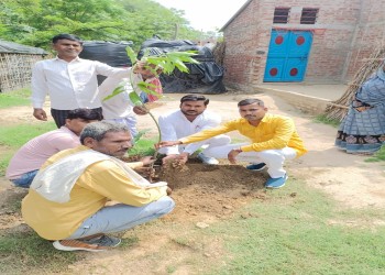 जिला पंचायत सदस्य इंद्रपाल चौधरी ने अपने जन्मदिन के अवसर पर ग्रामीणों द्वारा आम के पेड़ लगवाए।