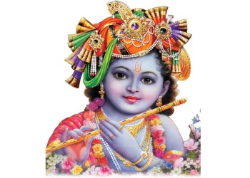 श्री कृष्ण जन्मोत्सव पर भव्य आयोजन 