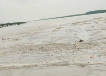 बरेली में रामगंगा का रौद्र रूप तहसील मीरगंज से फरीदपुर तक बाढ़ के पानी का पांडव हजारों बीघा फसलें डूबी