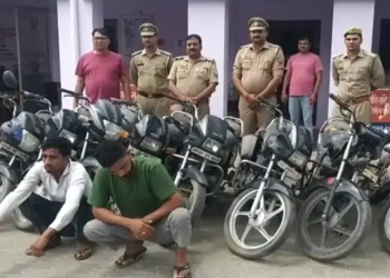 संभल पुलिस ने किया अंतरराज्यीय वाहन चोर गैंग का पर्दाफाश