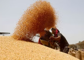 किसानों में दौड़ी खुशी की लहर केंद्र सरकार ने की गेहूं एवं अन्य रवी की फसलों के एम एस पी में 2 से 7% की बढ़ोतरी