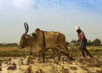 मुख्य 6 वजह जिनके कारण भारत कृषि क्षेत्र में पिछड़ा हुआ है