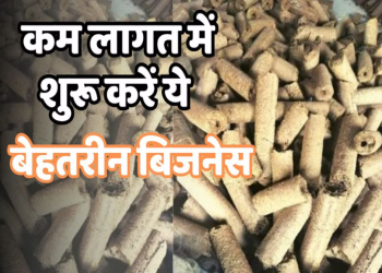 गोबर से लकड़ी बनाकर कम लागत में कमाया जा सकता है मोटा मुनाफा