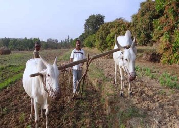 भारतीय किसानों को मिलेगा अनेकों लाभ, सरकार ने बनाई बड़ी योजना   