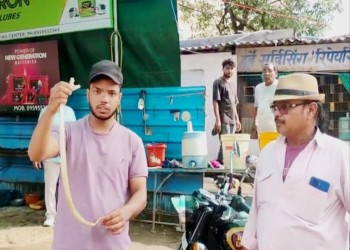 मौत के ऊपर सवार था शक्श अत्यंत जहरीला सांप रसैल वाइपर था बाइक के अंदर