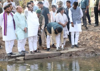 मुख्यमंत्री ने जन्मदिन पर दिया वन्यजीव संरक्षण का संदेश, सागर के वीरांगना दुर्गावती टाइगर रिजर्व की बामनेर नदी में विमुक्त किए 14 कछुए